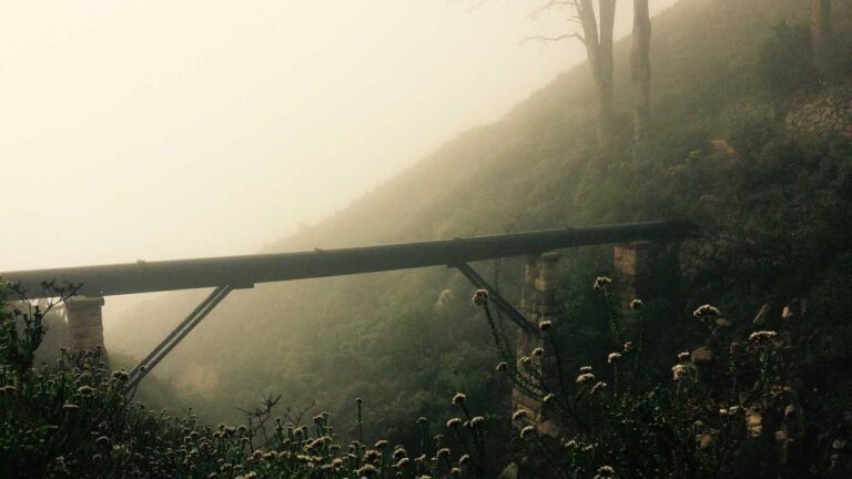 How To Access Cricbet99 Vip Live Official Site?